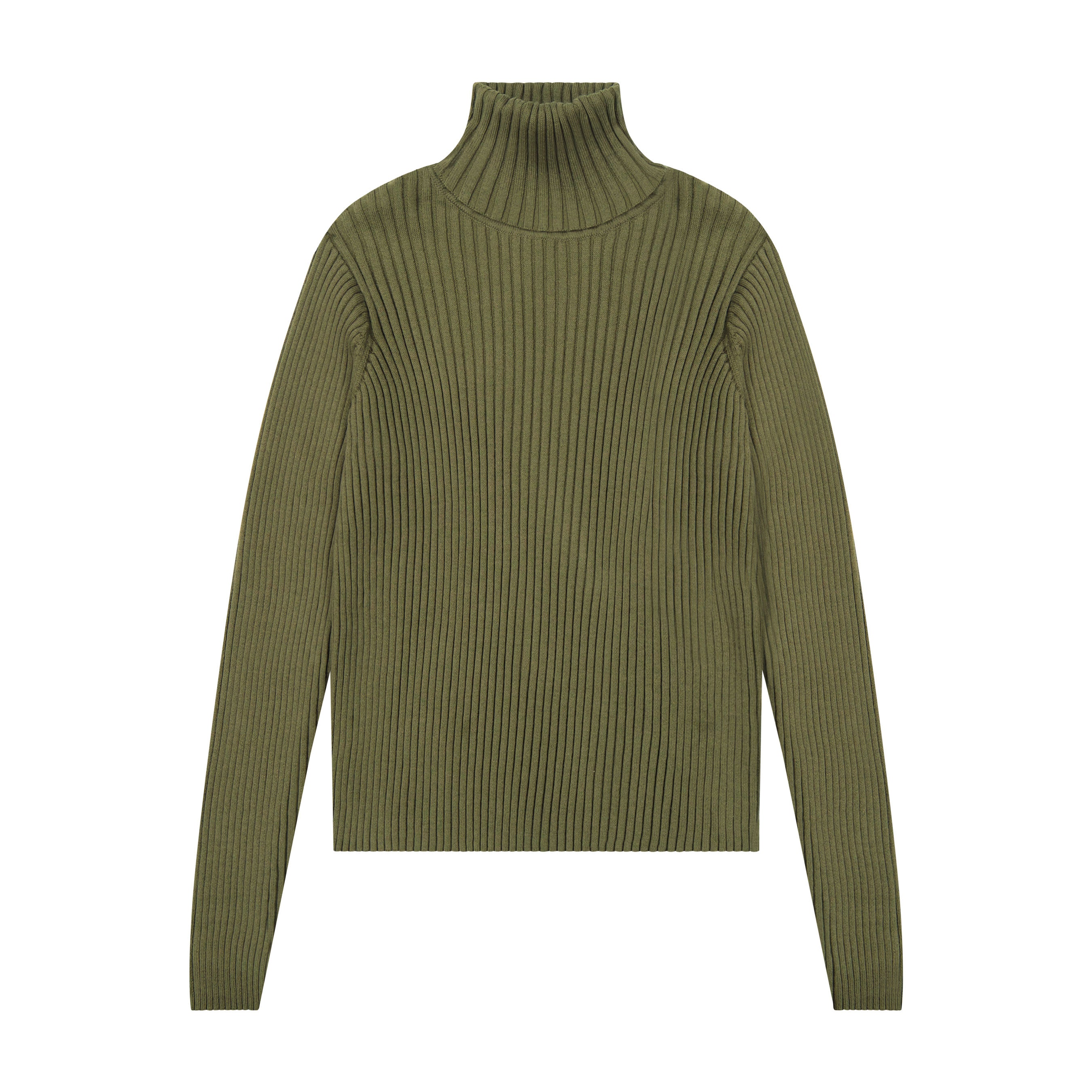 Ribbed Knit Turtleneck - Green